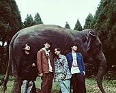 「マカロニえんぴつ、入門編でありベスト盤『TASTING MACAROCK』をTSUTAYA限定でレンタル決定」1枚目/2