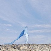 「【ビルボード】テミン『Never Gonna Dance Again』Act2がDLアルバム首位　ORβITデビュー作が追う」1枚目/1