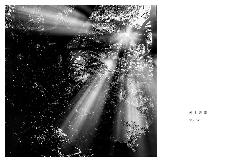 「Premium」2枚目/3