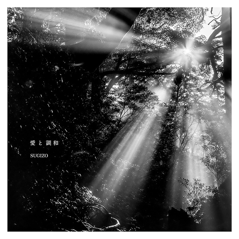 「Regular」3枚目/3