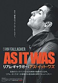 「リアム・ギャラガー、ドキュメンタリー映画『リアム・ギャラガー：アズ・イット・ワズ』のBlu-ray＆DVDが発売決定　ダウンロード先行販売も」1枚目/12