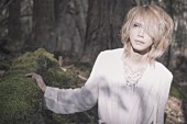 「Shinya（DIR EN GREY）、ソロプロジェクト“SERAPH”の未発表曲が『火の鳥』謎解きオンラインゲームの主題歌に起用」1枚目/2