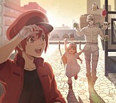 「(C)清水茜／講談社・アニプレックス・davidproduction」4枚目/5