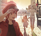 「(C)清水茜／講談社・アニプレックス・davidproduction」5枚目/6