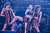 「フィロソフィーのダンス、配信ライブで活き活きとしたパフォーマンス　メンバーのソロ曲配信も決定」1枚目/7