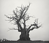 「【先ヨミ】SEKAI NO OWARI『SEKAI NO OWARI 2010-2019』が45,608枚を売り上げアルバム首位走行中」1枚目/1