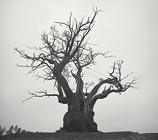 「【先ヨミ】SEKAI NO OWARI『SEKAI NO OWARI 2010-2019』が45,608枚を売り上げアルバム首位走行中」