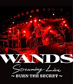 「WANDS、配信ライブ【WANDS Streaming Live ～BURN THE SECRET～】のBlu-ray化が決定」1枚目/4