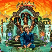 「『テラ・ファーマ』タッシュ・サルタナ（Album Review）」1枚目/1