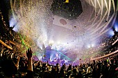 「＜ライブレポート＞フレデリック、観客と作り上げた日本武道館という”ぼくらのASOVIVA”」1枚目/15