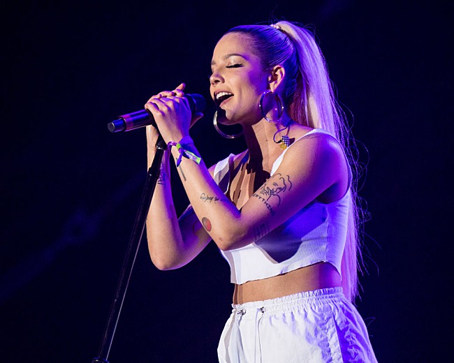 「ホールジー、妊娠は100％計画していたと明かす」1枚目/1