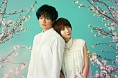 「中島健人、2022年配信Netflix映画『桜のような僕の恋人』に主演」1枚目/1