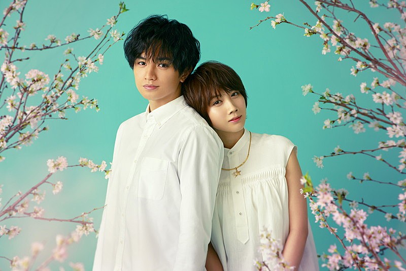 中島健人、2022年配信Netflix映画『桜のような僕の恋人』に主演