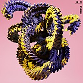 「崎山蒼志、配信SG「逆行」ジャケット公開」1枚目/2