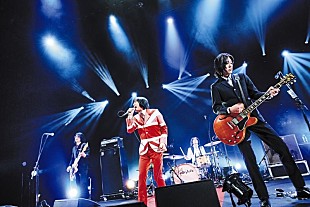 「THE COLLECTORS、6/2結成35周年記念7インチBOXセット発売＆6月に記念ライブ開催決定」