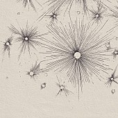 「『光暈 (halo) 』」2枚目/2