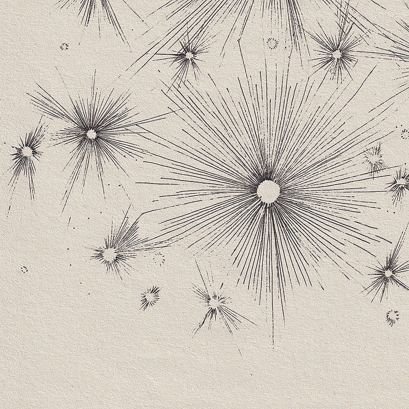 「『光暈 (halo) 』」2枚目/2