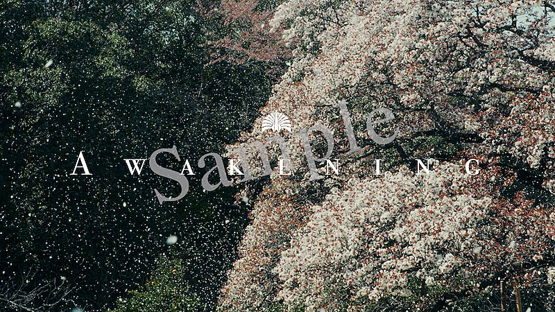 「東京事変の新曲「緑酒」、SNS楽曲シェアキャンペーンがスタート」1枚目/4