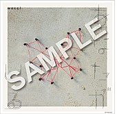 「Amazon・・・メガジャケ」7枚目/10