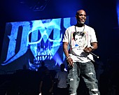 「故DMX、マスター音源の買収などに関する噂を遺族が否定」1枚目/1