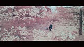 「RADWIMPS、桜色の神秘的な「鋼の羽根」MV公開」1枚目/3