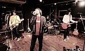 「THE COLLECTORS、AL『YOUNG MAN ROCK』全曲スタジオライブ映像有料配信決定」1枚目/2