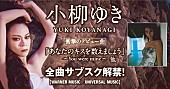 「小柳ゆき、ワーナー＆ユニバーサル時代の全音源がサブスク解禁」1枚目/1