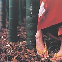 スピッツ、スペシャル・アルバム『花鳥風月＋』をCD＆アナログ盤で