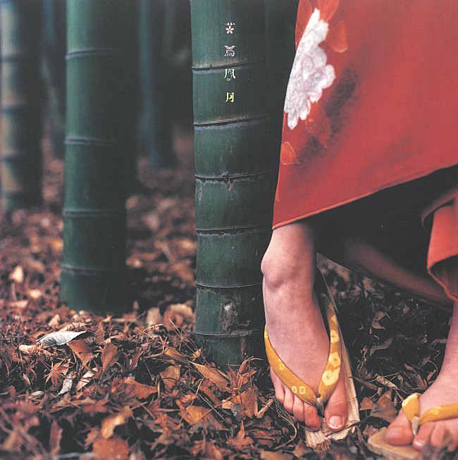 「『花鳥風月＋』＜2LP＞ 」3枚目/5