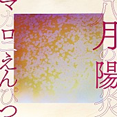 「「八月の陽炎」」2枚目/2