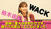 「柏木由紀×WACKによるコラボ7作同時リリース決定　各グループメンバーもコメント」1枚目/13