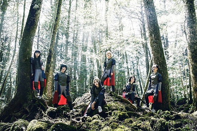 「GO TO THE BEDS」10枚目/13