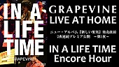 「GRAPEVINE、AL『新しい果実』発売直前に2夜連続プレミア公開決定」1枚目/6