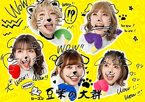 豆柴の大群 WOW!! シーズン 初回生産限定盤 新品未開封 x200_image.jpg
