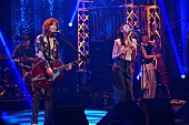 「AJICOが『The Covers』初出演、寺尾聰や井上陽水のカバー披露」1枚目/1