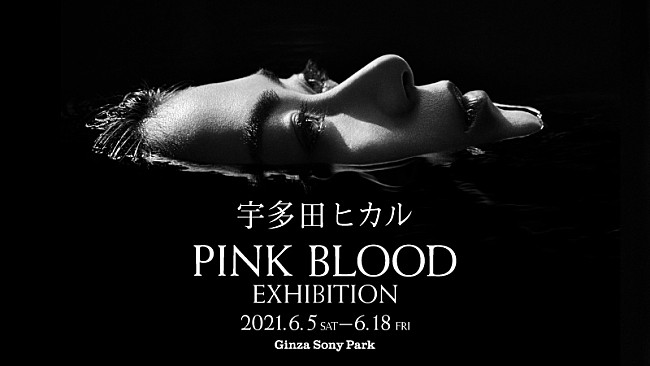 「宇多田ヒカルの新曲「PINK BLOOD」リリース記念エキシビジョンがGinza Sony Parkで開催」1枚目/3