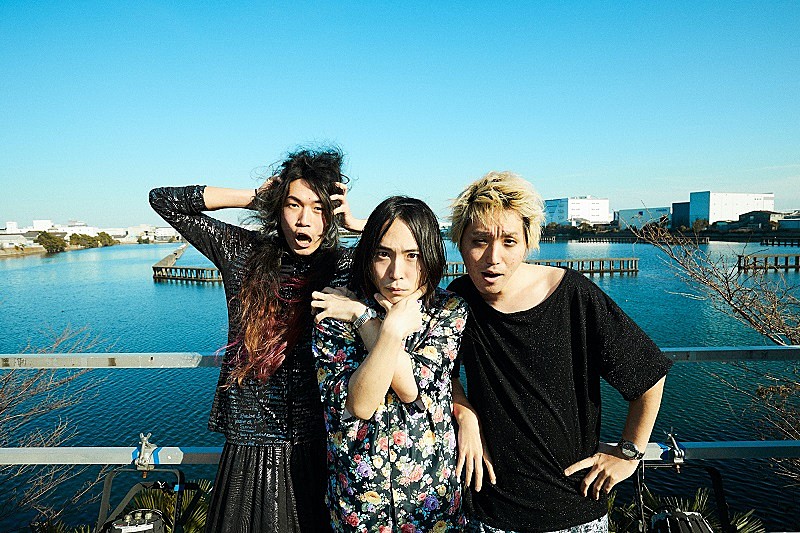 挫・人間が8月にニューアルバム発売へ、初回盤は新木場STUDIO COASTワンマン完全収録のDVD付