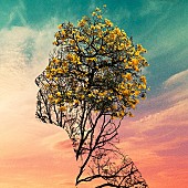 「神はサイコロを振らない、新曲「徒夢の中で」配信スタート」1枚目/1