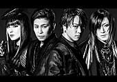 「ACE OF SPADES、初の全国ツアーをdTVで独占配信」1枚目/3