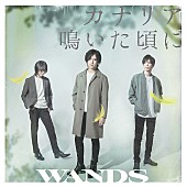 WANDS「シングル『カナリア鳴いた頃に』＜通常盤＞」3枚目/3