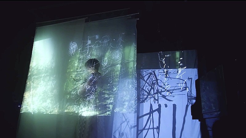 「川本真琴の新曲「鳥さんあんぱんブーチーコリンズ」「街の本屋さん」MV公開」1枚目/2