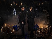 「SHIN（ex:ViViD）と咲人（NIGHTMARE）によるプロジェクトSEESAW、7月にワンマンライブ開催決定」1枚目/1