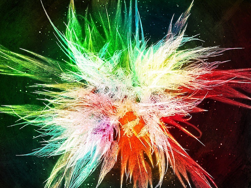 「没後10年を迎えるレイ・ハラカミが音楽、プラネタリウム作品『暗やみの色』リバイバル上映」1枚目/1