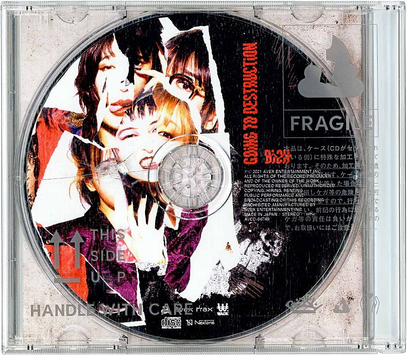 「アルバム『GOiNG TO DESTRUCTiON』破壊盤」3枚目/5