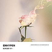 「【先ヨミ】ENHYPEN『BORDER : 儚い』21万枚で現在シングル1位」1枚目/1