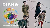 「DISH//の野外ライブ【DISH// SUMMER AMUSEMENT】をU-NEXTでライブ配信」1枚目/1