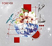 「シングル『FOREVER』LE-CIEL限定盤」4枚目/4