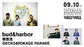 「bud&amp;amp;harborのリリパにbonobos蔡忠浩、Gecko&amp;amp;Tokage Parade出演」1枚目/1