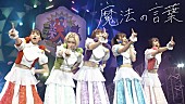 「豆柴の大群、「魔法の言葉」ライブ映像公開」1枚目/2
