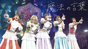 「豆柴の大群、「魔法の言葉」ライブ映像公開」